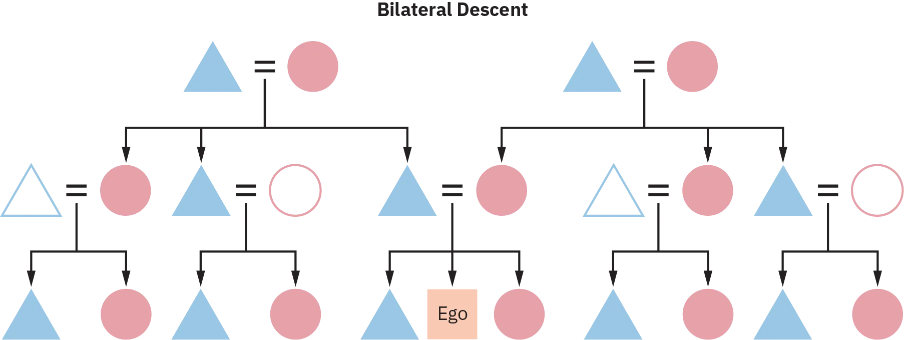 A Bilateral Descent chart of several generations. All offspring in this chart trace their lineage through both mother and father.