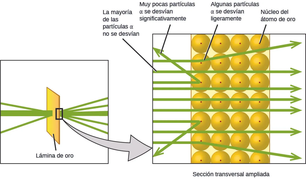 El diagrama de la izquierda muestra un haz verde de partículas alfa que choca con una pieza rectangular de lámina de oro. Algunas de las partículas alfa rebotan hacia atrás después de golpear la lámina. Sin embargo, la mayoría de las partículas viajan a través de la lámina, y algunas se desvían al pasar por ella. Un recuadro muestra una sección transversal ampliada de la lámina de oro. La mayoría de las partículas alfa no se desvían, sino que pasan directamente a través de la lámina porque viajan entre los átomos de oro. Un número muy pequeño de partículas alfa se desvía significativamente cuando choca de frente con el núcleo de los átomos de oro. Unas pocas partículas alfa se desvían ligeramente porque rebotan contra el núcleo de los átomos de oro.