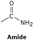 Amide has a carbonyl group bonded to an open single bond and a primary amine group.