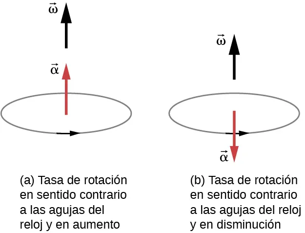 La figura A muestra la rotación en sentido contrario a las agujas del reloj. La aceleración angular está en la misma dirección que la velocidad angular. El texto bajo la figura señala: "tasa de rotación en sentido contrario a las agujas del reloj y en aumento". La figura B muestra la rotación en el sentido de las agujas del reloj. La aceleración angular es en la dirección opuesta a la velocidad angular. El texto debajo de la figura señala: "tasa de rotación en el sentido de las agujas del reloj y decreciente".