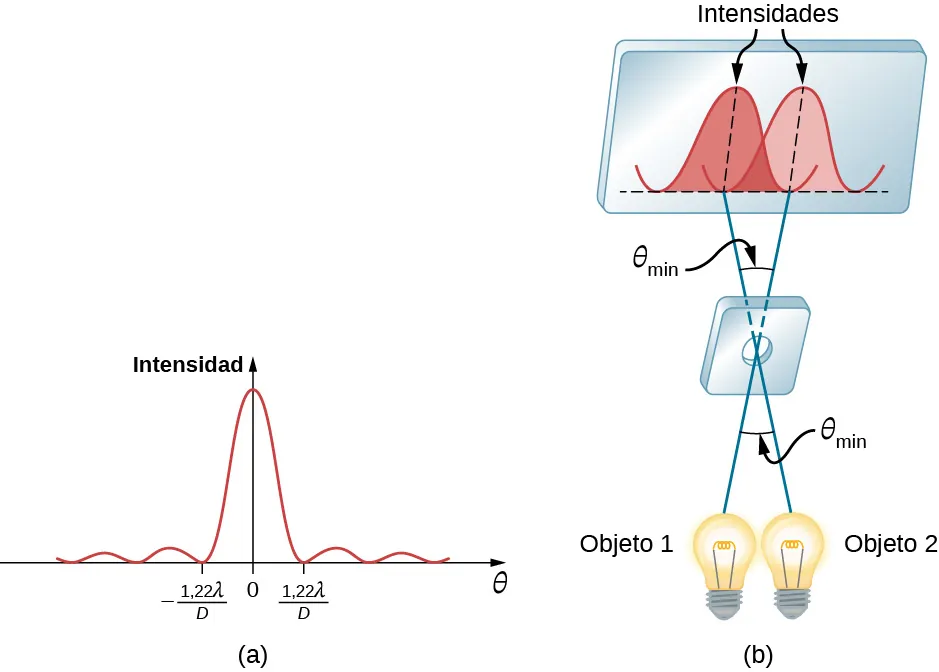 La figura a muestra un gráfico de la intensidad en función de theta. Tiene una cresta en el centro y ceros en más y menos 1,22 lambda divido entre D. La figura b muestra dos bombillas colocadas una al lado de la otra. Están marcados como objeto 1 y objeto 2. Un rayo de cada uno cruza el otro pasando por un agujero en un bloque en el punto de intersección. Forman un ángulo theta subíndice min entre sí. Los rayos inciden sobre una pantalla en el otro lado. Sus intensidades se muestran en la pantalla como ondas. La cresta de uno se corresponde con el cero del otro.