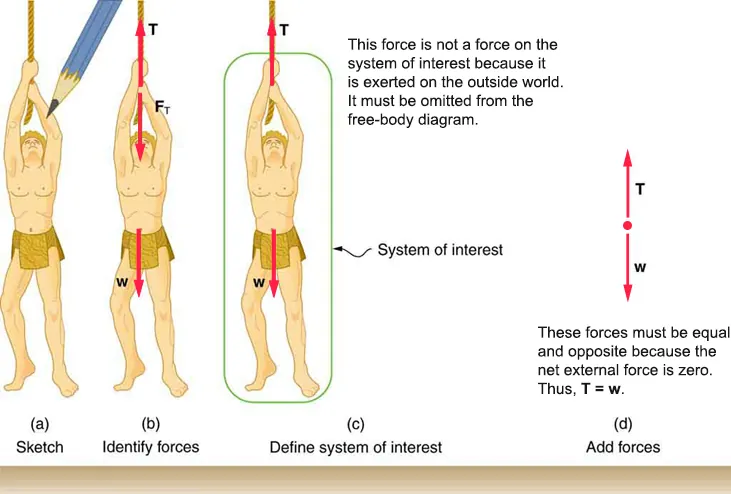 Four diagrams are shown: a, b, c, and d. Diagram a shows a sketch of Tarzan hanging motionless from a vine. Diagram b shows the same sketch as diagram a, but includes force vectors. A tension force vector points upward from Tarzan's hands to show tension exerted on Tarzan by the vine. Another tension force vector points downward from Tarzan's hands to show the force exerted on the vine by Tarzan. A weight force vector points from Tarzan downward to show the force exerted on Tarzan by Earth’s gravity. All other forces, such as a nudge of a breeze, are assumed to be negligible. Diagram c shows a system of interest in the event that Tarzan’s mass is known and we are asked to find the tension in the vine. This diagram shows the same sketch as diagram b, but it does not include the tension force vector downward from Tarzan's hands to show the force exerted on the vine by Tarzan because this force does not act on the system of interest. It only acts on the outside world. Diagram d shows a free-body diagram with only the external forces acting on Tarzan, with force T, tension, pointing upward and equal to force w, weight, pointing downward.