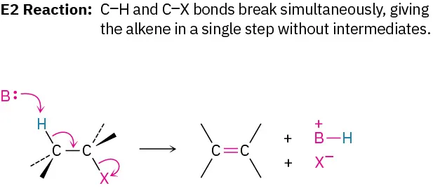 E2 reaction mechanism. Base abstracts hydrogen adjacent to halogen on alkyl halide; movement of electrons results in halide leaving and forming double bond, all in one step.