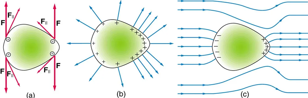 In part a, a conductor is shown with the unsymmetrical shape. The identical pair of charges at opposite ends on the conductor have similar components of forces represented by arrows. In part b, the unsymmetrical object has positive charge on its surface. The electric field lines are shown emerging perpendicular from the surface of the conductor represented by vector arrow. In part c, the field lines in and around the conductor running from left to right is shown. The left surface of the conductor has negative charge and the right surface has positive charge. The field lines enter and leave the conductor at right angles.