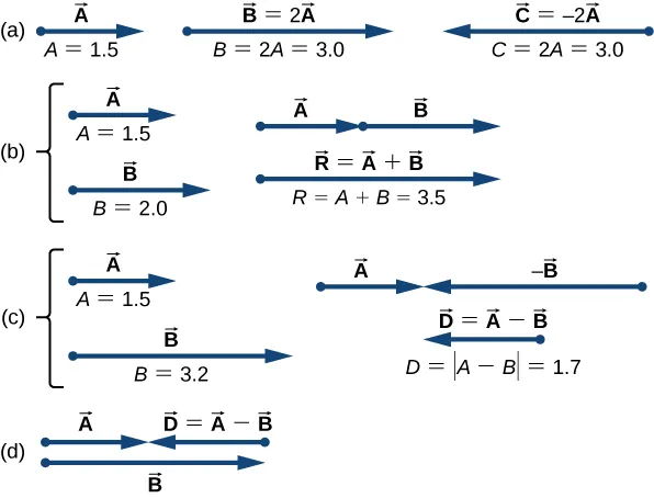 Figure a shows vector A pointing to the right. It has magnitude A=1.5. Vector B=2 time vector A points to the right and has magnitude B = 2 A = 3.0. Vector C = -2 times vector A and has magnitude B = 2.0. Figure b shows vector A points to the right and has magnitude A=1.5. Vector B is shown below vector A, with their tails aligned. Vector B points to the right and has magnitude 2.0. In another view, Vector A is shown with vector B starting at the head of A and extending further to the right. Below them is a vector, labeled as vector R = vector A plus vector B, pointing to the right whose tail is aligned with the tail of vector A and whose head is aligned with the head of vector B. The magnitude of vector R is equal to magnitude A plus magnitude B = 3.5. Figure c shows vector A points to the right and has magnitude A=1.5. Vector B is shown below vector A, with their tails aligned. Vector minus B points to the right and has magnitude 3.2. In another view, Vector A is shown with vector minus B pointing to the left and with its head meeting the head of vector A. Below them is a vector, labeled as vector D = vector A minus vector B, shorter than B and pointing to the left whose head is aligned with the head of vector B. The magnitude of vector D is equal to magnitude of quantity A minus B = 1.7. Figure d shows vector A pointing to the right with vector D = A minus B pointing to the left and with its head meeting the head of vector A. Below them is a vector, labeled as vector B pointing to the right.