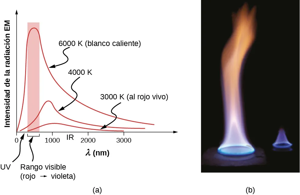 En la figura a se muestra un gráfico de la intensidad de la radiación electromagnética (EM) versus lambda en nm. Hay tres curvas distintas en el gráfico. Están identificadas como 6.000 K o blanco caliente, 4.000 K y 3.000 K o rojo caliente. Todas suben, alcanzan su punto máximo y bajan, siendo el primero el de mayor intensidad y el último el de menor. La primera curva alcanza su punto máximo cerca del rango de la luz visible, la segunda y la tercera, justo después. En la figura b se muestra una llama. Es azul en la parte inferior, blanquecina en el centro y anaranjada en la parte superior.