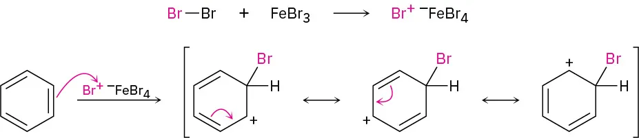 Benzene reacts with B r plus F e B r 4 minus (obtained from bromine and iron tribromide) to form three resonance structures of a cyclic carbocation.