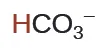 The bicarbonate ion (HCO3-) plays a crucial role in maintaining pH balance in the body and is an important component of the carbonic acid-bicarbonate buffer system.