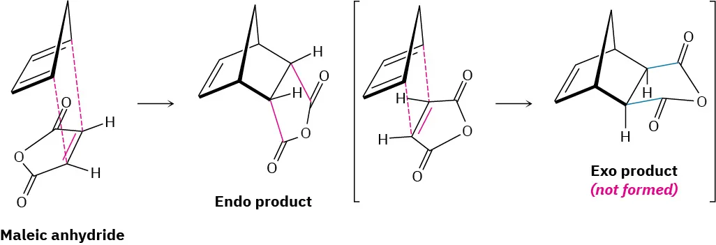 A reaction shows 1,3-cyclopentadiene reacting with maleic anhydride to form endo product. Exo product is not formed.