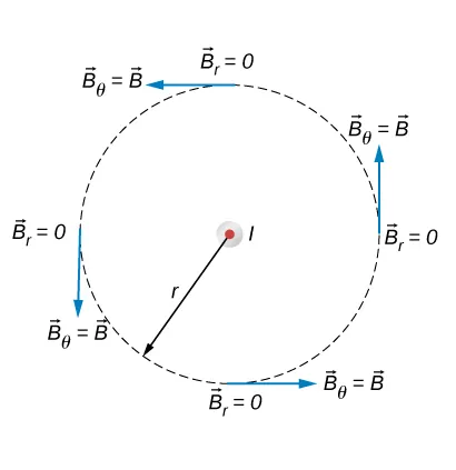 Rysunek przedstawia nieskończenie długi, cienki, prosty przewód z prądem skierowanym na zewnątrz strony. Pokazane są możliwe składniki pola magnetycznego w tej płaszczyźnie, BR i BTheta, w dowolnie wyznaczonych punktach okręgu o promieniu r wychodzącego ze środka przewodu.