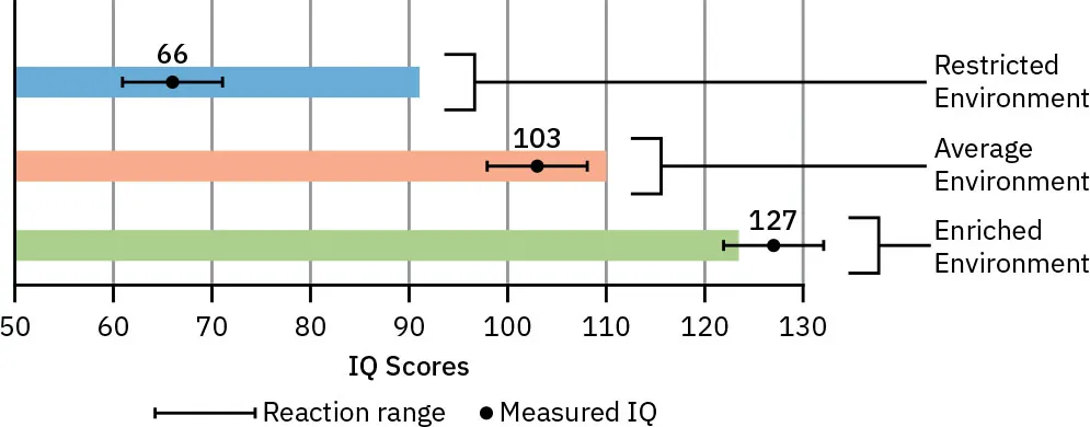 Graph showing measured IQ scores for Restricted Environment (66), Average Environment (103), and Enriched Environment (127).