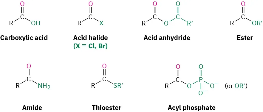 The structures of seven groups include carboxylic acid, acid halide, acid anhydride, ester, amide, thioester, and acyl phosphate.
