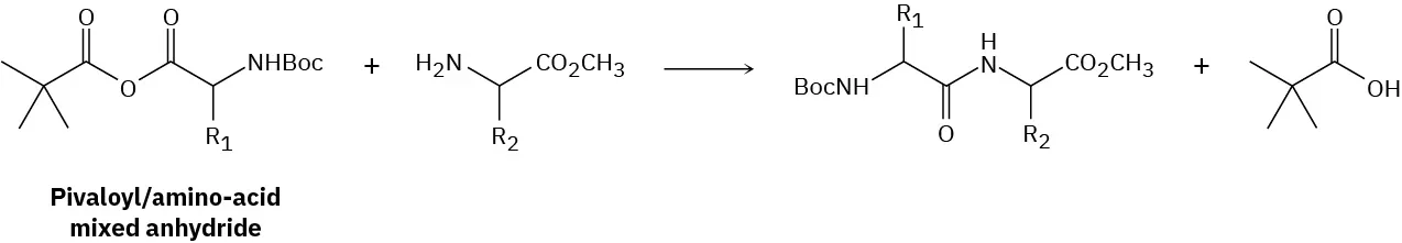 Reaction between pivaloyl or amino acid mixed anhydride with another amine compound forming amide-bond containing compound and 2,2-dimethylpropanoic acid. The amine group in anhydride is B o c protected.
