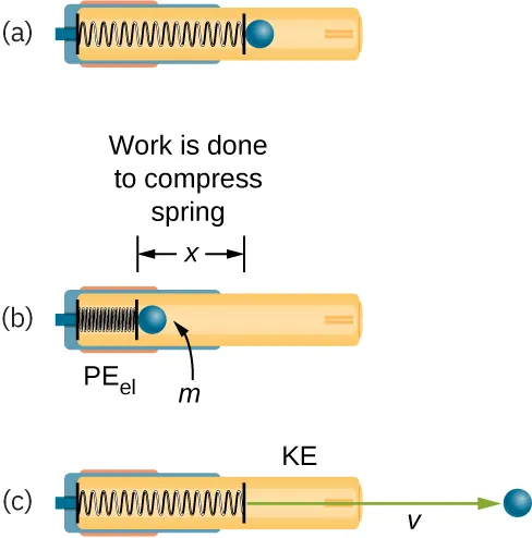 The figure a shows an artistic impression of a tranquilizer gun, which shows the inside of it revealing the gun spring and a panel just below it, in the outside area, attached to the spring. This stage shows the gun before it is cocked, and the spring is uncompressed covering the entire inside area. The figure b shows the gun with the spring in the compressed mode. The spring has been compressed to a distance x, where x distance shows the vacant area inside the gun through which the spring has been compressed. The panel is also moving along the spring. And a bullet of mass m is shown at the front of the compressed spring. The spring here has elastic potential energy, represented by P E sub e l. The figure c is the third stage of the above two stages of the gun. The spring here is released from the compressed stage releasing the bullet in the outer forward direction with velocity V and the spring’s potential energy is converted into kinetic energy, represented here by K E.