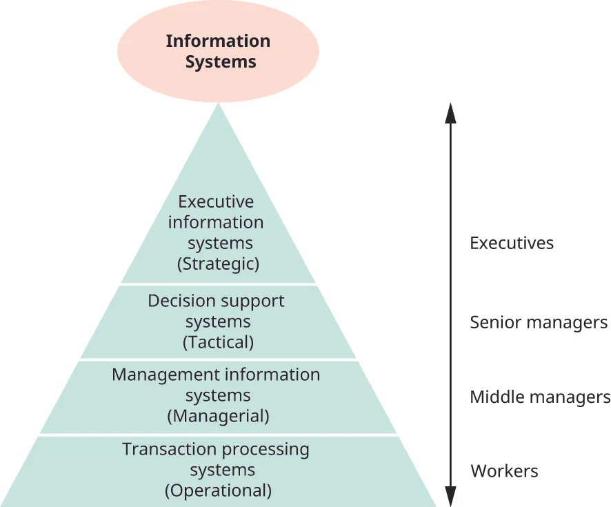 Information Systems hierarchy from top down: Executives: Executive information systems (Strategic); Senior managers: Decision support systems (Tactical); Middle managers: Management information systems (Managerial); Workers: Transaction processing systems (Operational).