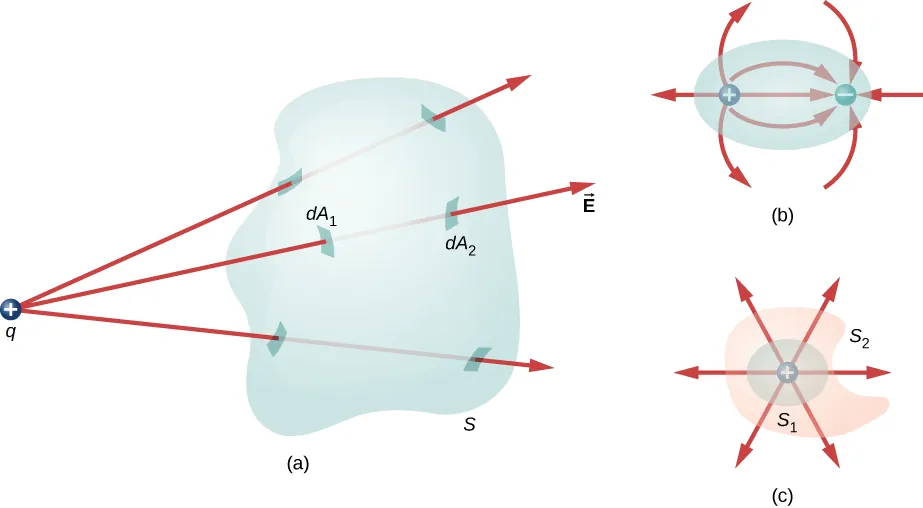 Figure a shows an irregular 3 dimensional shape labeled S. A small circle with a plus sign, labeled q is outside it. Three arrows labeled vector E originate from q and pass through S. The patches where the arrows pierce the surface of S are highlighted. The patch where one arrow enters the shape is labeled dA1 and the patch where the arrow emerges from the shape is labeled dA2. Figure b shows an oval with two small circles inside it. These are labeled plus and minus. Three arrow from outside the oval point to the circle labeled minus. Three arrows point from plus to minus. Three arrows point from plus to outside the oval. Figure c has an irregular shape labeled S2. Within it is a circle named S1. At its center is a small circle labeled plus. Six arrows radiate outward from here in different directions.