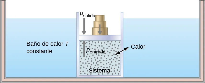 La figura ilustra un gran recipiente aislado lleno de líquido. Este fluido está identificado como baño de calor de T constante. Dentro del baño de calor hay un recipiente más pequeño lleno de gas. El recipiente de gas más pequeño está tapado por un pistón que tiene pesas en la parte superior. El interior del recipiente más pequeño es el sistema. Una flecha de doble punta que atraviesa las paredes del recipiente más pequeño y que está identificada como “calor” indica que el calor puede fluir entre el baño y el sistema. Una flecha hacia arriba en el interior del sistema apunta a la parte inferior del pistón y está identificada como p en. Una flecha hacia abajo fuera del sistema apunta a la parte superior del pistón y está identificada como p fuera. Una segunda flecha hacia abajo señala la parte superior del pistón, donde se apilan las pesas.