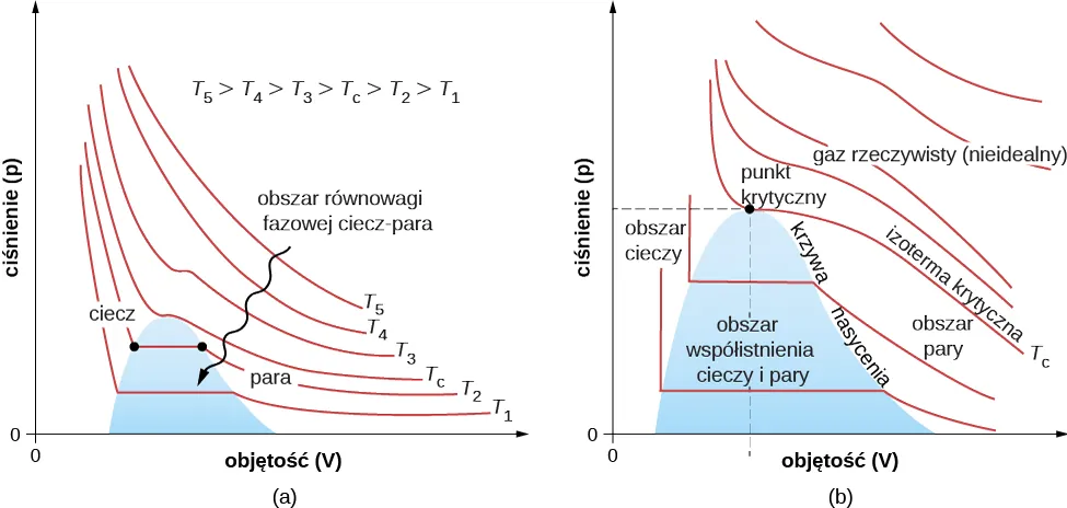 Rysunek ma dwa wykresy ciśnienia, p, na osi pionowej jako funkcji objętości, V, na osi poziomej, dla kilku różnych temperatur. Rysunek a pokazuje sześć izoterm, oznaczonych od dołu do góry, T 1, T 2, T C, T 3, T 4 i T 5. Notka na wykresie mówi nam, że temperatury podane są w porządku rosnącym. Wykresy pokazują ogólny spadek i wzrost objętości dla wszystkich temperatur, z wyjątkiem temperatur niskich gdy ciśnienie jest stałe jako funkcja objętości podczas fazy zmiany stanu skupienia. Faza zmiany stanu skupienia obejmuje region oznaczony na wykresie kolorem niebieskim i oznaczony jest jako region równowagi płynno-parowej. Rysunek b jest tym samym wykresem pokazującym w zbliżeniu diagram p V w otoczeniu zacieniowanego regionu płynno-parowego. Ponad tym regionem krzywe monotonicznie opadają. Krzywa, która jest jeszcze po drugiej stronie właśnie dotyka szczytu regionu płynno-parowego oznaczonego krytyczną izotermą T c. Punkt, w którym krzywa spotyka się z zacieniowanym regionem jest oznaczony jako punkt krytyczny. Region po lewej stronie zacieniowanego obszaru z ciśnieniem niższym niż ciśnienie w punkcie krytycznym jest regionem płynnym. Region po prawej zacienionego obszaru jest regionem parowania. Prawy kraniec regionu zacieniowanego krzywą nasyconą. Region powyżej krytycznej izotermy jest oznakowany jako prawdziwy ale nie jest gazem doskonałym.