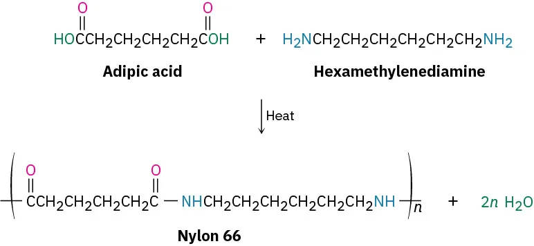 The reaction shows the formation of Nylon 6 6 polymer from adipic acid and hexamethylenediamine by heating. The product has a twelve-carbon repeating chain enclosed in parentheses with subscript n.