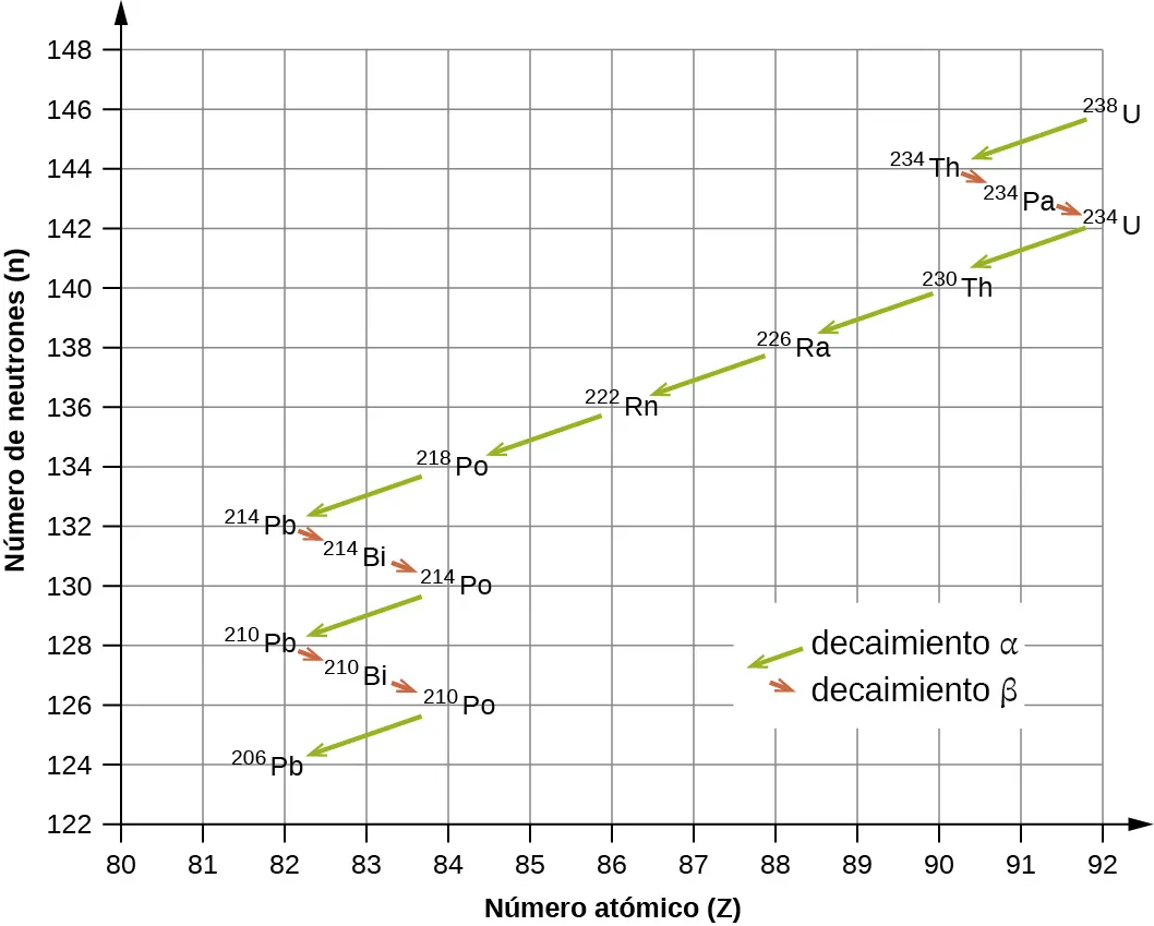 Se muestra un gráfico en el que el eje x está marcado como "número de neutrones (n)" y tiene valores de 122 a 148 en incrementos de 2. El eje y se denomina "número atómico" y tiene valores de 80 a 92 en incrementos de 1. En este gráfico se utilizan dos tipos de flechas para conectar los puntos. Las flechas verdes están marcadas como "decaimiento alfa", mientras que las rojas lo están como "decaimiento beta". Comenzando en el punto "92, 146" que está marcado como "superíndice 238, U", una flecha verde conecta este punto con el segundo punto "90, 144" que está marcado como "superíndice 234, T h". Una flecha roja lo conecta con el tercer punto "91, 143" que está marcado como "superíndice 234, P a", el cual se conecta con el cuarto punto "92, 142" por una flecha roja y que está marcado como "superíndice 234, U". Una flecha verde conduce al siguiente punto, "90, 140" que está marcado como "superíndice 230, T h" y está conectado por una flecha verde al sexto punto, "88, 138" que está marcado como "superíndice 226, R a" que, a su vez, se conecta por una flecha verde al séptimo punto "86, 136" que está marcado como "superíndice 222, Ra" El octavo punto, en "84, 134" está marcado como "superíndice 218, P o" y tiene flechas verdes que van hacia este y se alejan de este hasta el noveno punto "82, 132" que está marcado como "superíndice 214, Pb", que está conectado por una flecha roja al décimo punto, "83, 131" que está marcado como "superíndice 214, B i". Una flecha roja lleva al undécimo punto "84, 130" que está marcado como "superíndice 214, P o" y una flecha verde lleva al duodécimo punto "82, 128" que está marcado como "superíndice 210, P b". Una flecha roja lleva al decimotercer punto "83, 127" que está marcado como "superíndice 210, B i" y una flecha roja lleva al decimocuarto punto "84, 126" que está marcado como "superíndice 210, P o". El punto final está marcado como "82, 124" y "superíndice 206, P b".