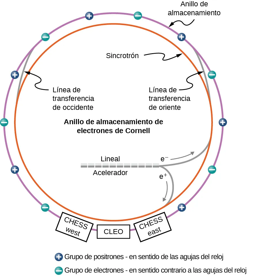 La figura muestra dos anillos, uno dentro del otro. El anillo exterior está marcado como anillo de almacenamiento. A lo largo de ella hay pequeños círculos marcados alternadamente como más y menos. Los círculos con signo positivo son el grupo de positrones, en el sentido de las agujas del reloj. Los círculos con signo negativo son el grupo de electrones, en sentido contrario de las agujas del reloj. El anillo exterior también tiene tres cajas a lo largo de la parte inferior. De izquierda a derecha, están marcados como CHESS (ajedrez) oeste, CLEO y CHESS (ajedrez) este. El anillo interior está marcado como Sincrotrón. Dos líneas lo conectan con el anillo exterior. La línea de la izquierda es la línea de transferencia Oeste y la de la derecha es la línea de transferencia Este. Un tubo dentro del anillo interior está marcado como Acelerador Lineal. Dos líneas marcadas como e más y e menos lo conectan con el anillo interior.