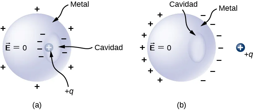 La figura a muestra una esfera de metal con una cavidad en su interior. La esfera tiene un vector E igual a cero. Tiene signos de más alrededor. La cavidad tiene signos de menos alrededor. Una carga positiva más q está dentro de la cavidad. La figura b muestra la misma esfera de metal con una cavidad en ella. La esfera tiene un vector E igual a cero. No hay nada dentro de la cavidad. Una carga positiva marcada como más q está fuera de la esfera. El lado de la esfera orientado hacia q tiene signos negativos. El lado opuesto tiene signos de más.