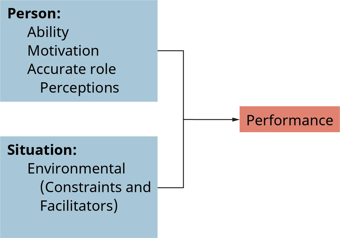 An illustration shows the determinants of performance, grouped under the headings “Person” and “Situation.”