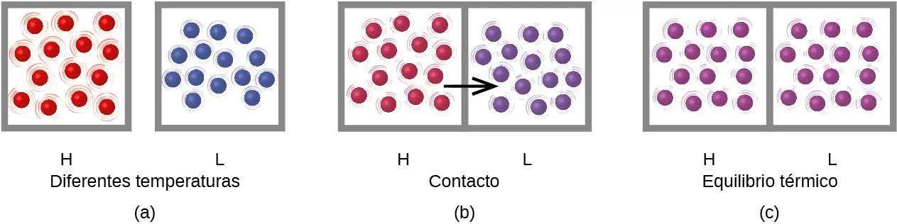 Se muestran tres dibujos etiquetados como a, b y c, respectivamente. El primer dibujo etiquetado como a representa dos cuadros, con un espacio entre ellos y el par está titulado "Diferentes temperaturas". El cuadro de la izquierda está etiquetado como H y contiene catorce esferas rojas bien espaciadas con líneas dibujadas alrededor para indicar el movimiento rápido. El cuadro de la derecha está etiquetado como L y representa catorce esferas azules que están más juntas que las rojas y tienen líneas más pequeñas a su alrededor que muestran un menor movimiento de las partículas. El segundo dibujo etiquetado como b representa dos cuadros que se tocan entre sí. El cuadro de la izquierda está etiquetada como H y contiene catorce esferas de color granate espaciadas uniformemente. Hay pequeñas líneas alrededor de cada esfera que representan el movimiento de las partículas. El cuadro de la derecha está etiquetado como L y contiene catorce esferas moradas que están ligeramente más juntas que las esferas granates. También hay pequeñas líneas alrededor de cada esfera que representan el movimiento de las partículas. Una flecha negra apunta del cuadro izquierdo al cuadro derecho y el par de diagramas lleva el título "Contacto". El tercer dibujo etiquetado como c, lleva la etiqueta "Equilibrio térmico". Se muestran dos cuadros en contacto entre sí. Ambos cuadros contienen catorce esferas de color púrpura con pequeñas líneas alrededor que representan un movimiento moderado. El cuadro de la izquierda está etiquetado como H y el de la derecha como L.