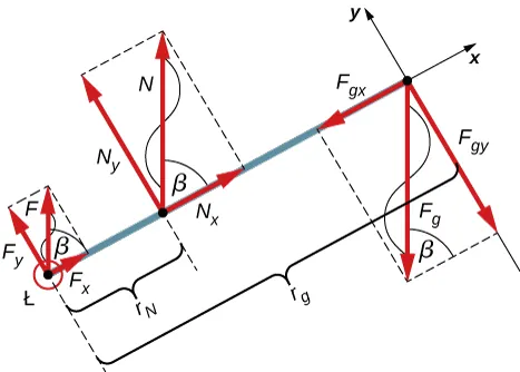 Rysunek rozkładu sił dla przedramienia. Siła F jest przyłożona w punkcie Ł. Siła N jest przyłożona w odległości rN od punktu E. Siła Fg jest przyłożona w odległości rg od punktu E przeciwnie do kierunku F i N. Składowe x i y sił są pokazane. Siła F i N tworzą kąt beta z osią x. Siła Fg tworzy kąt beta z linią łączącą ją z jej składową y.