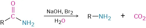 An amide reacts with sodium hydroxide, bromine, and water to produce a primary amine and carbon dioxide.