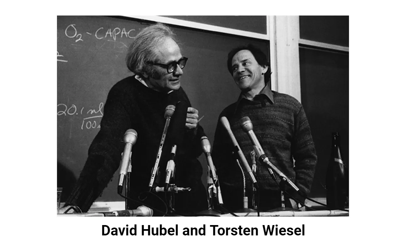 Photo of David Hubel and Tortsen Wiesel talking in front of a blackboard.