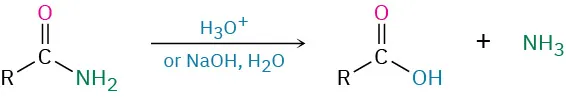 Hydrolysis of an amide to a carboxylic acid using acid or base.