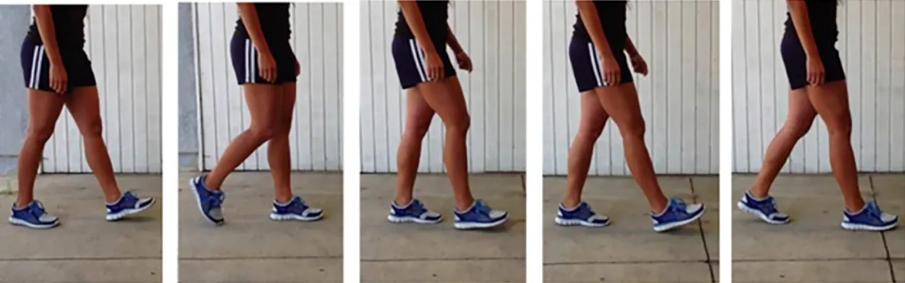 A series of photographs show the positions of a person’s arms and legs as they walk.