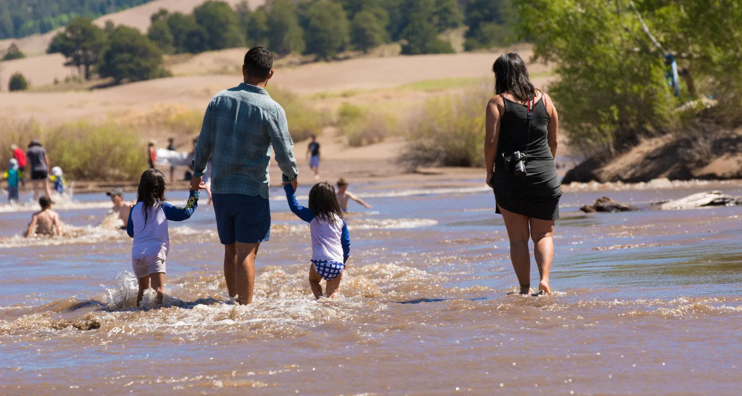 Two adults and two small children wade in the shallow area of a creek. The children hold one of the adult's hands, while another adult wades nearby.