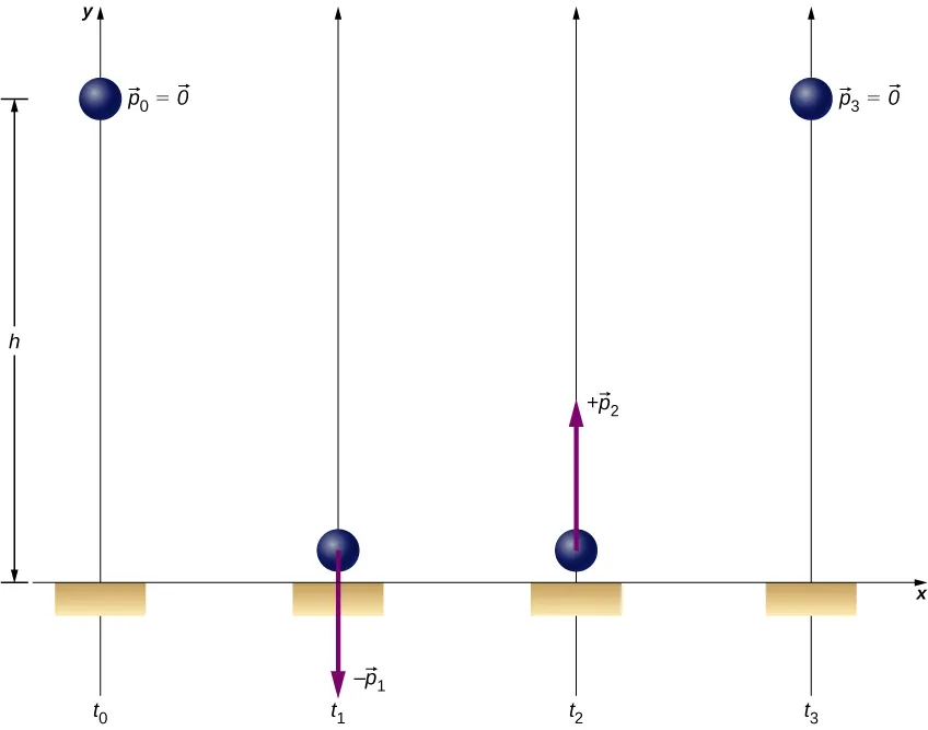 Ilustracja spadającej piłki w czterech fazach jej ruchu. W chwili początkowej t0 piłka znajduje się na wysokości h nad podłogą. Na rysunku podana jest informacja o jej pędzie p0 równym 0. W chwili t1, piłka jest tuż nad podłogą, do piłki dorysowano wektor pędu minus p1, skierowany pionowo w dół. W chwili t2 piłka jest również tuż nad podłogą, ale pod odbiciu piłki od podłogi wektor jej pędu plus p2 jest skierowany pionowo w górę. W chwili t3 piłka jest na wysokości h, jak na rysunku początkowym, a jej pęd p3 jest równy zeru.