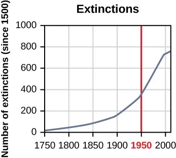 Graph titled “Extinctions” showing the number of extinctions (since 1500) on the y–axis, which ranges from 0 to 1,000, and the year on the x–axis, with a domain of 1750 to 2000. 1950 is in red with a vertical line extending across the graph stemming from that point on the x–axis. The number of extinctions in 1750 is 0, which increases, with the rate of increase also increasing, to just under 400 in 1950. After that, it increases to almost 800 in 2000 and continues to increase, though at a slower rate, until the end of the graph. 