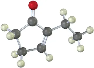 The ball-and-stick model shows a cyclopentenone with ethyl bonded to second carbon. The second and third carbon is double-bonded. Grey, white, and red spheres show C, H, and O, respectively.