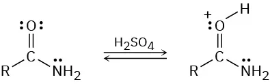 An amide undergoes a reversible reaction with sulfuric acid to produce a protonated product in which oxygen carries a positive charge.