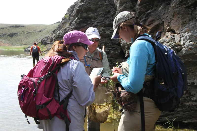 Three biologists work in the field near a lake with a rocky shore and gather samples for further study.