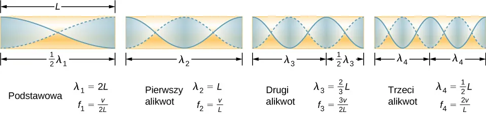 Rysunek przedstawia częstotliwość podstawową i trzy najniższe alikwoty dla rury jednostronnie zamkniętej. Częstotliwość podstawowa jest równa połowie swojej długości fali w rurze. Pierwszy alikwot występuje przy długości fali w tubie, drugi alikwot przy trzech drugich długości fali w rurze, trzeci alikwot dla dwóch długości fali w rurze. Dla wszystkich maksymalne drgania powietrza występują przy obu końcach rury.