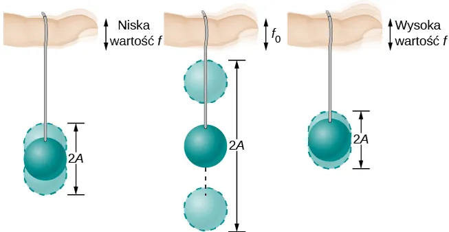 Rysunek przedstawiający trzy położenia kulki zawieszonej na nici przymocowanej do palca. Na rysunku po lewej palec porusza się w górę i w dół z niską częstotliwością f, a kulka oscyluje w górę i w dół wokół położenia równowagi; wychylenia przedstawiono jako jaśniejsze cienie kulki, a położenie równowagi ciemniejszym kolorem. Na rysunku pośrodku palec porusza się w górę i w dół z częstotliwością f sub zero a wychylenia kulki są o wiele większe niż na pierwszym rysunku. Na rysunku po prawej palec porusza się z wysoką częstotliwością f, ale ruchy kulki są mniejsze niż na pierwszym rysunku. Na wszystkich rysunkach odległość między najwyższym a najniższym położeniem kulki oznaczono jako 2 A.