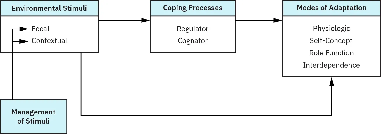 Management of Stimuli chart pointing to Environmental Stimuli (Focal, Contextual), then Coping Processes (Regulator, Cognator), then Modes of Adaptation (Physiologic, Self-Concept, Role Function, Interdependence). Environmental Stimuli connects to Modes of Adaptation also.
