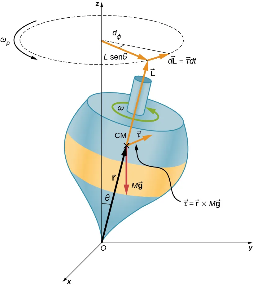 Se muestra un sistema de coordenadas x y z, con la x fuera de la página, la y a la derecha y la z hacia arriba. El origen es el punto O. Se muestra una peonza con su punto en el origen y su eje inclinado en un ángulo theta lejos del eje vertical z, en el sentido de las agujas del reloj, tal como lo vemos. El vector r se extiende desde el origen hacia el centro de la masa, etiquetado como C M, de la peonza. La fuerza M g actúa hacia abajo, en el centro de masa. El torque, tau, alrededor del origen es igual al vector r cruzado con el vector M g. Este torque es un vector en el plano x y, perpendicular al vector r, en la página. La velocidad angular, omega, de la peonza es contraria a las agujas del reloj, vista desde arriba. El momento angular, L, está en la misma dirección que el vector r, inclinado hacia arriba, a lo largo del eje de la peonza. El círculo trazado por la precesión de la peonza se muestra como un círculo horizontal sobre esta. La velocidad angular de precesión omega sub p va en dirección contraria a las agujas del reloj, vista desde arriba. El radio del círculo de precesión es L seno theta. El vector d L es tangente al círculo, apunta hacia la página y es igual al vector tau d t. Se muestra el triángulo formado L seno theta y d L, y el ángulo transversal a d L se etiqueta como d phi.