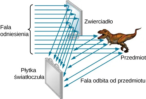 Lustro umieszczone na górze rysunku jest zwrócone w lewo a płytka światłoczuła na dole rysunku jest zwrócone w prawo. Dinozaur opisany jako obiekt znajduje się poniżej lustra. Równoległe promienie opisane jako fala odniesienia biegną z lewej strony. Niektóre padają na lustro i są odbijane, padając na płytkę. Niektóre padają na obiekt i są odbijane padając na płytkę. Te są opisane jako fala odbita od przedmiotu.