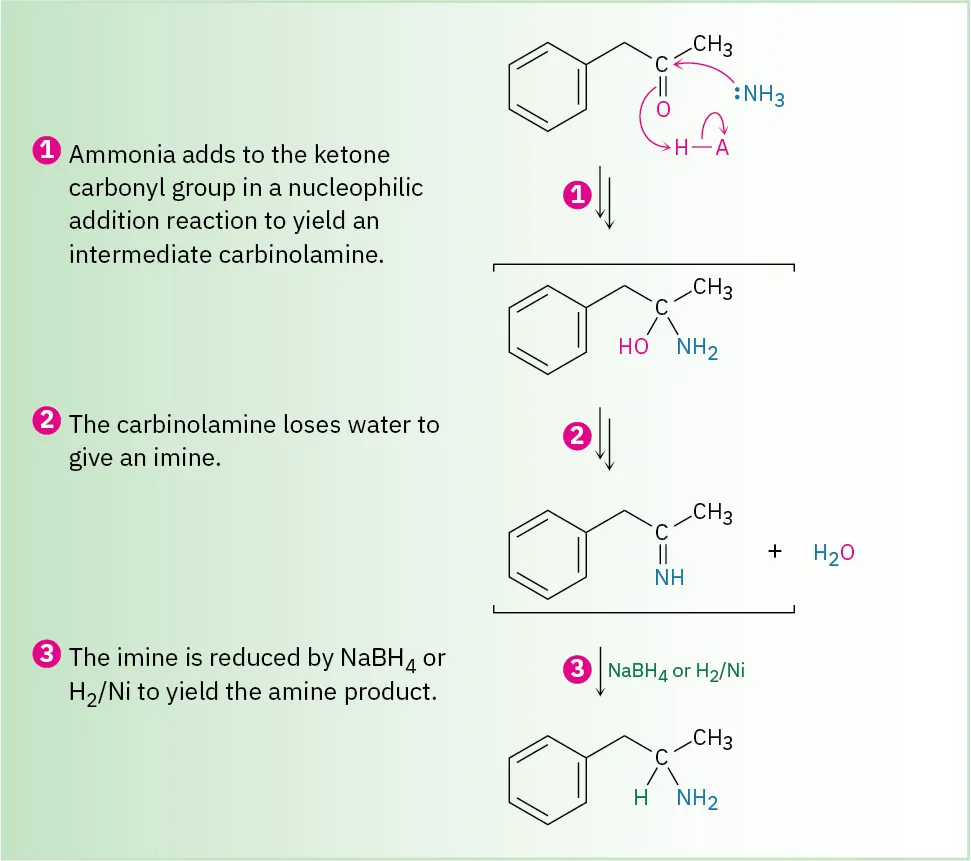 A three-step mechanism shows the reductive amination of a ketone using sodium borohydride or hydrogen, nickel to form an amine.