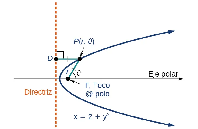 Se muestra una parábola horizontal, marcada como x = 2 + y al cuadrado, que se abre hacia la derecha. El foco está marcado como foco @ polo y está en el eje polar horizontal. Se muestra la directriz vertical. Un punto de la cara superior de la parábola se denomina P veces (r, theta) y desde él se trazan dos líneas de igual longitud r, una hacia el foco y otra hacia la directriz y perpendicular a ella. La línea al foco hace un ángulo theta con el eje polar.