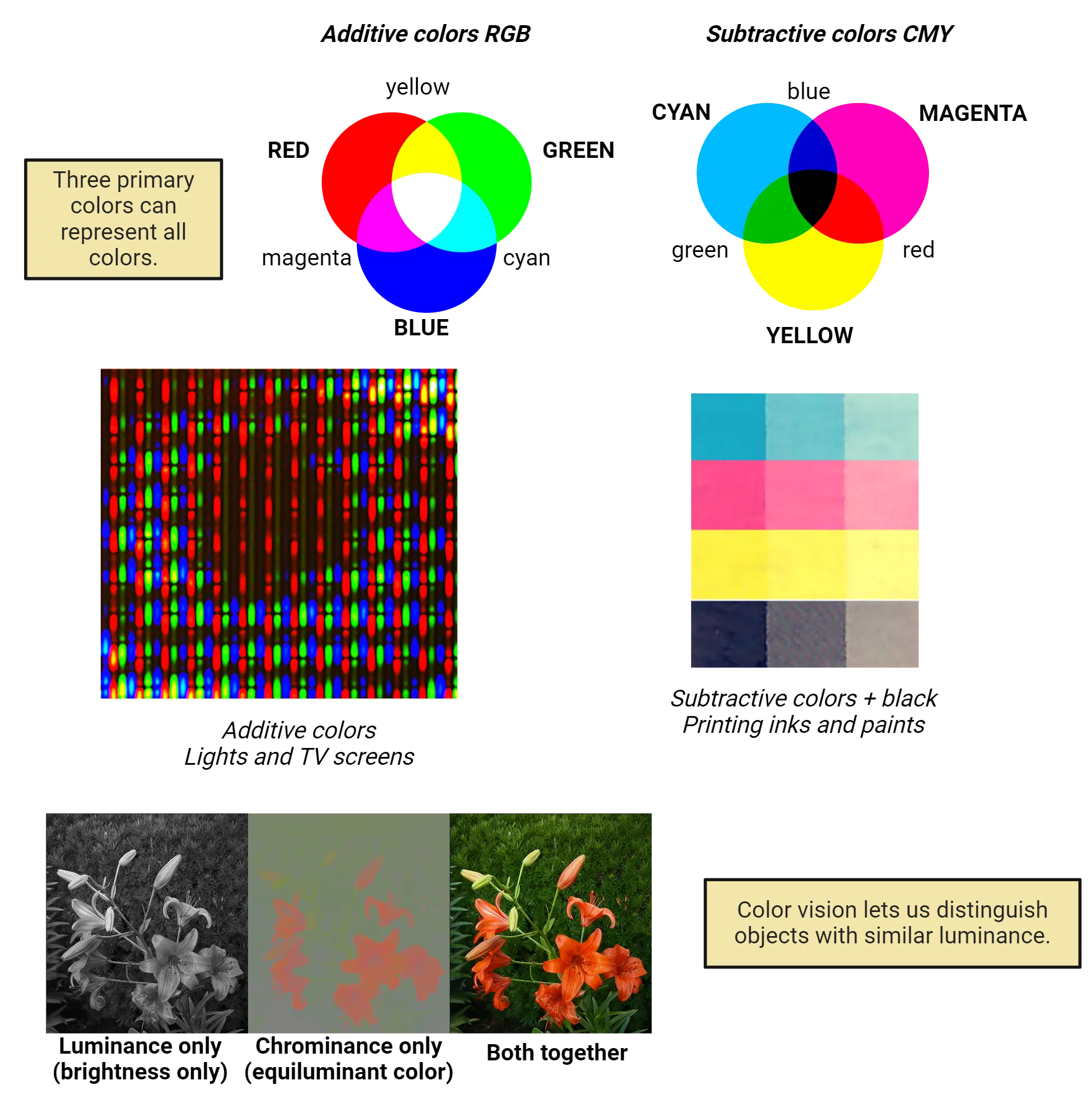 The top shows circles of the 3 primary colors in additive colors (red, green blue) and subtractive colors (cyan, magenta, yellow) and how their blending creates the colors in between those 3 primary colors in each system. Middle shows examples of each color system. RGB is shown as a close up of a TV screen. CMY is shown as a printing of several shades of these colors (plus black), as this is a typical system for printing inks and paints. Bottom shows a photo of flowers with versions of the same image with luminance only (black and white photo, no color) or chrominance only (brightness is the same and only color differences are shown). These two together make the real photo and shows how color vision lets us distinguish objects with similar luminance. 