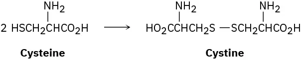 The figure shows a reaction where two molecules of cysteine convert to cystine.