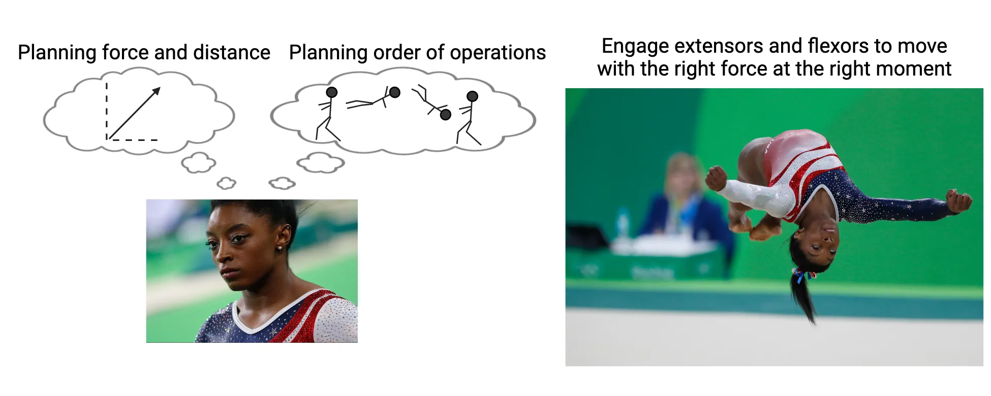 Left: Photo of gymnast Simone Biles's face/head. Thought bubble above her head indicate 'premotor cortex: planning for and distance' and 'supplementary motor area: planning order of operations'. Right: Picture of Simone Biles flipping in the air. text indicates 'Primary motor cortex: engage extensors and flexors to move'