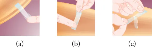 This image has three parts. Part a shows two pieces of sticky tape, with one stuck over the other, and with the lower tape attached to the edge of an arc-shaped object. The two tapes are slightly separated from each other at one end. In part b, someone's hand holds the two pieces of tape from the end where they are separated, while a finger touches the other end. Part c shows two hands pulling the two pieces of tape apart.